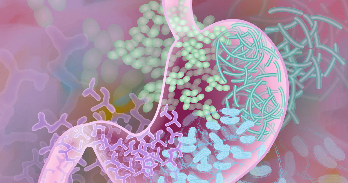 Ученые узнали пикантные подробности о жизни кишечных бактерий